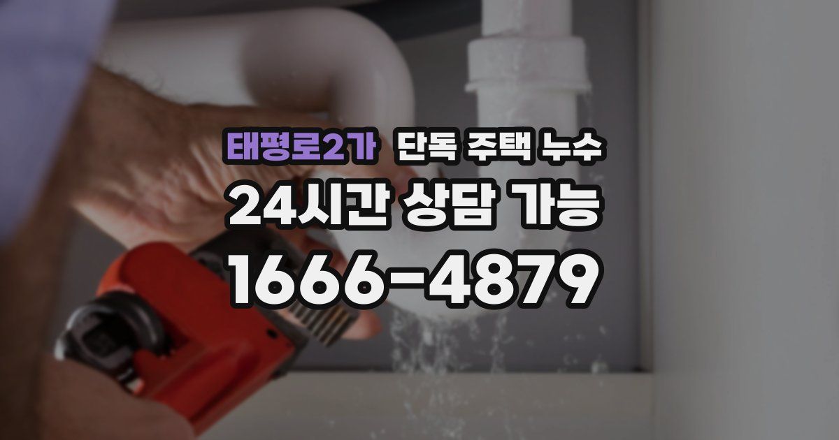 태평로2가 단독 주택 누수