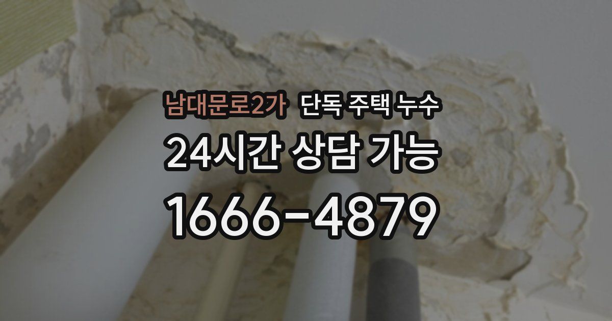 남대문로2가 단독 주택 누수