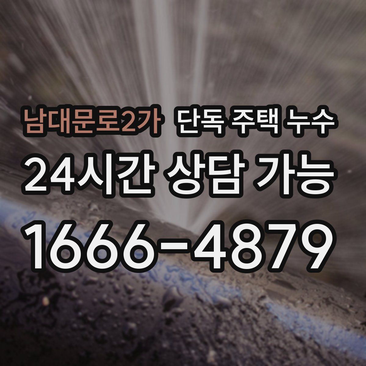 남대문로2가 단독 주택 누수