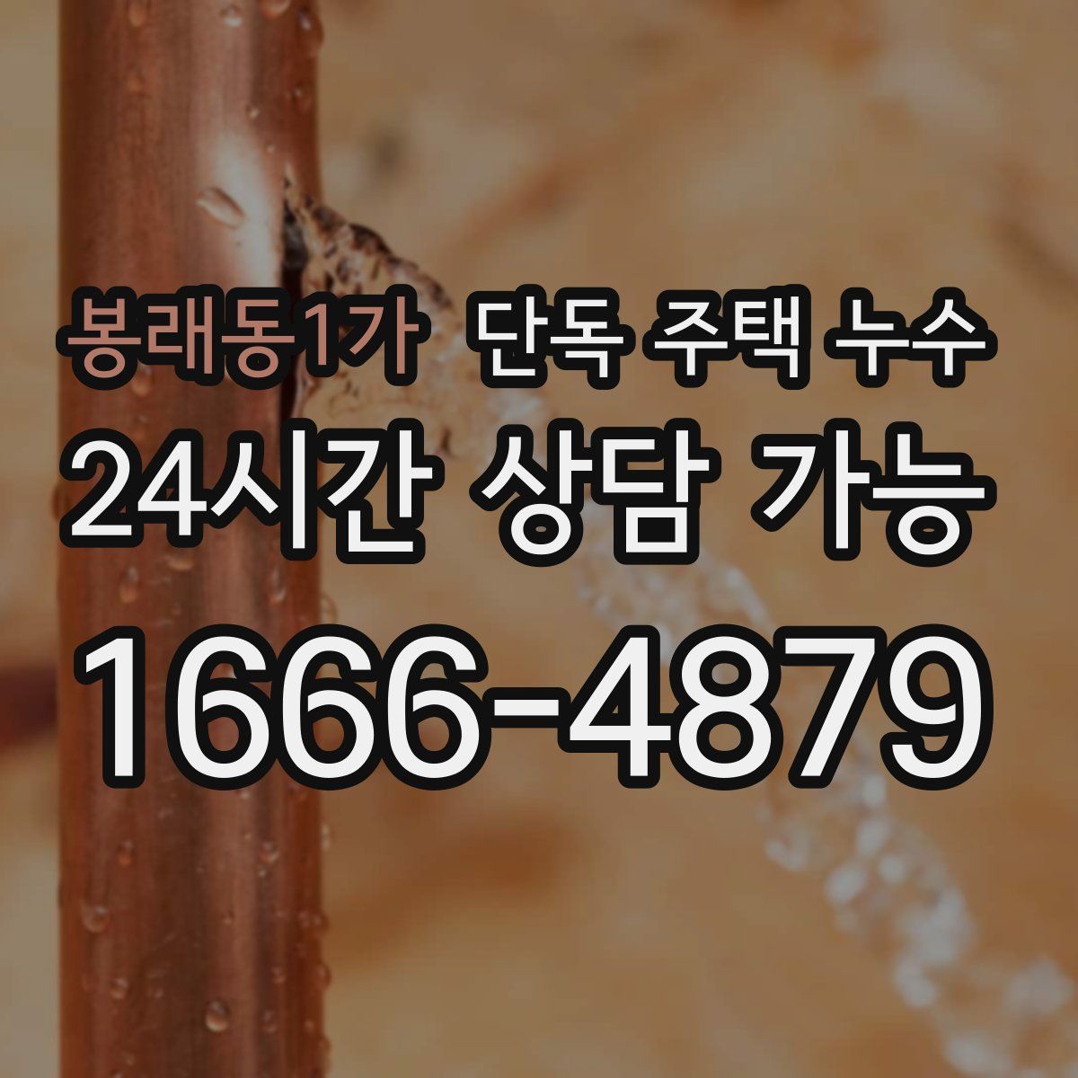 봉래동1가 단독 주택 누수