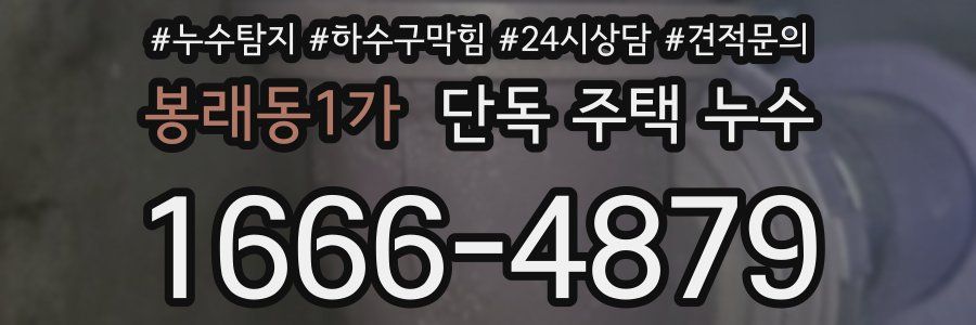 봉래동1가 단독 주택 누수