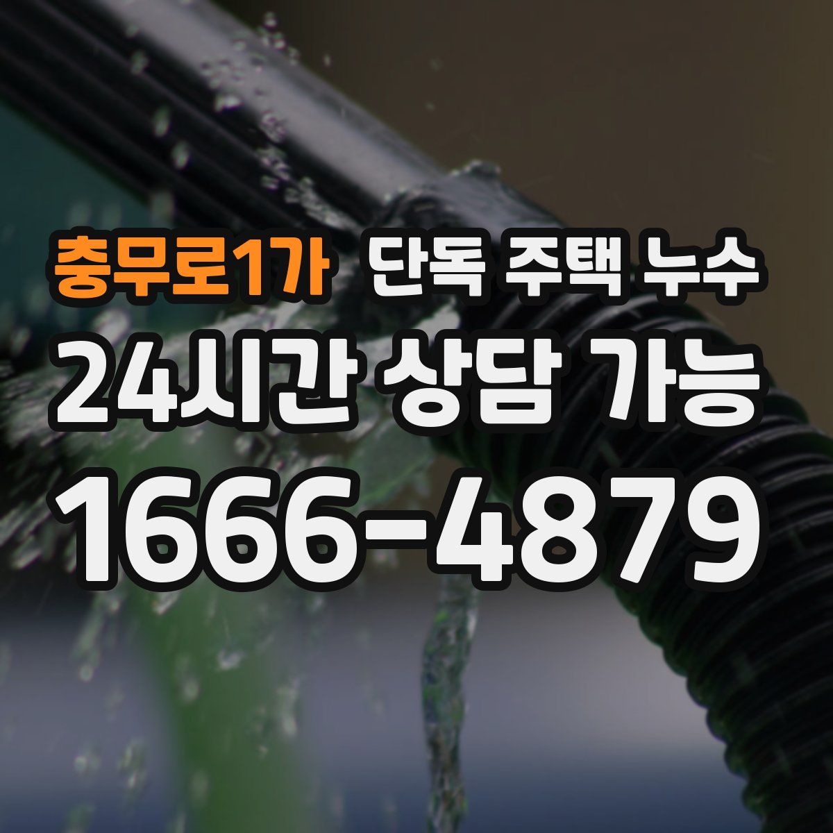 충무로1가 단독 주택 누수