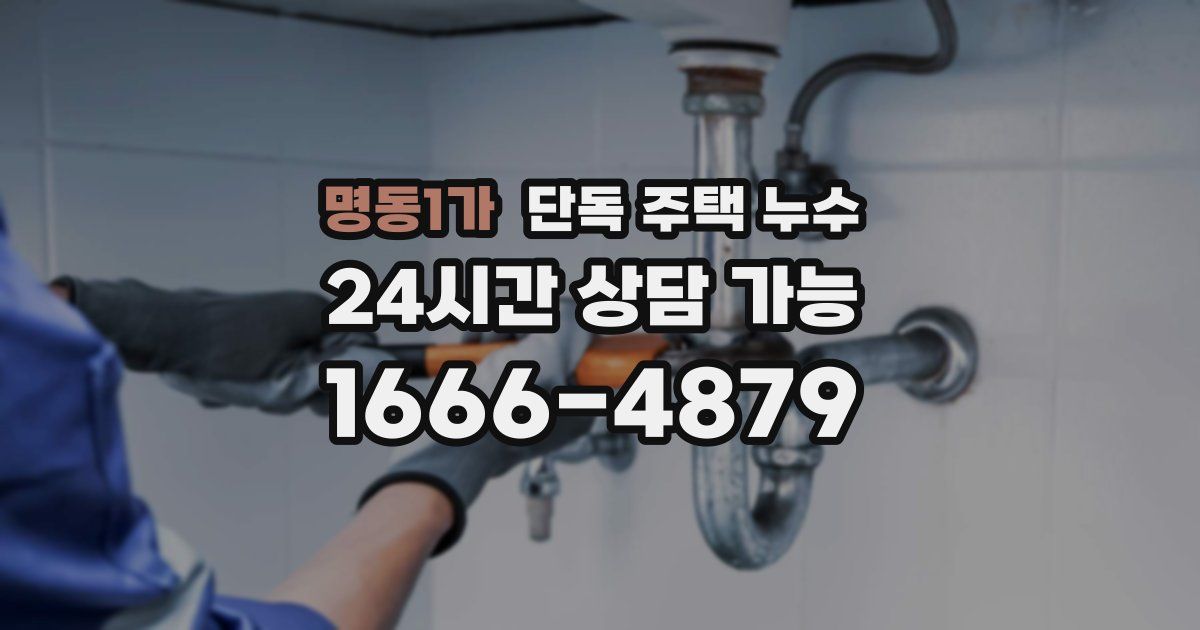 명동1가 단독 주택 누수