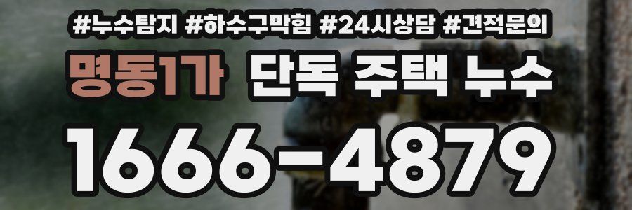 명동1가 단독 주택 누수