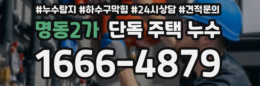 명동2가 단독 주택 누수