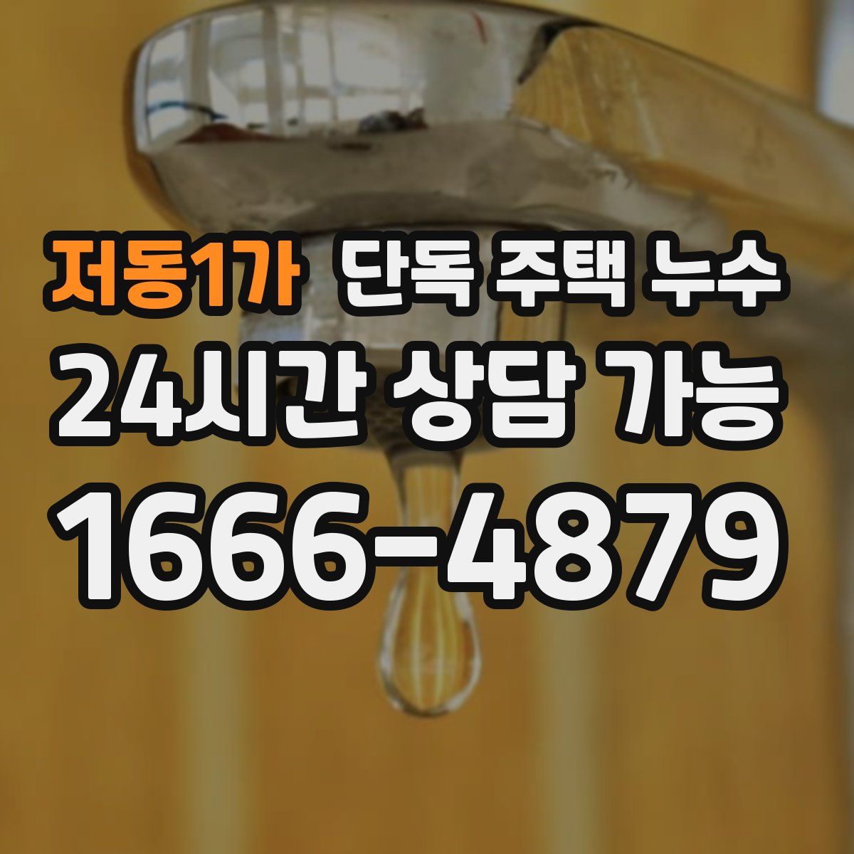 저동1가 단독 주택 누수