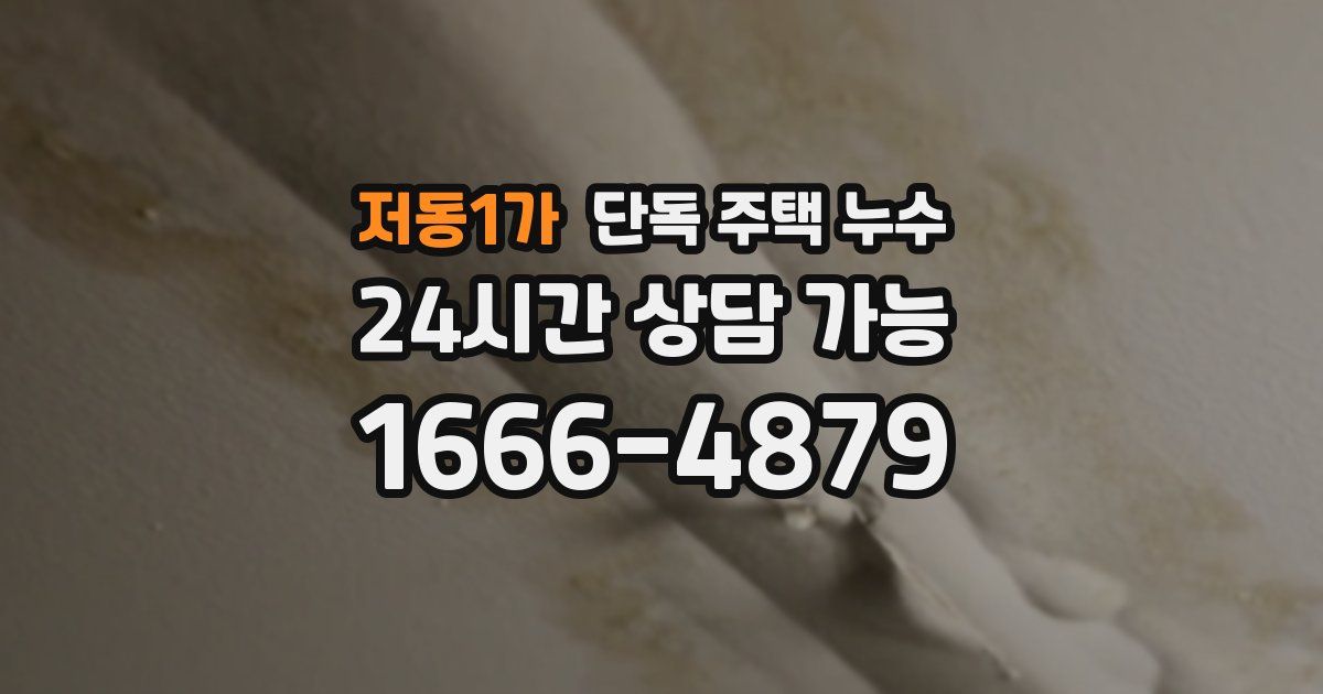 저동1가 단독 주택 누수