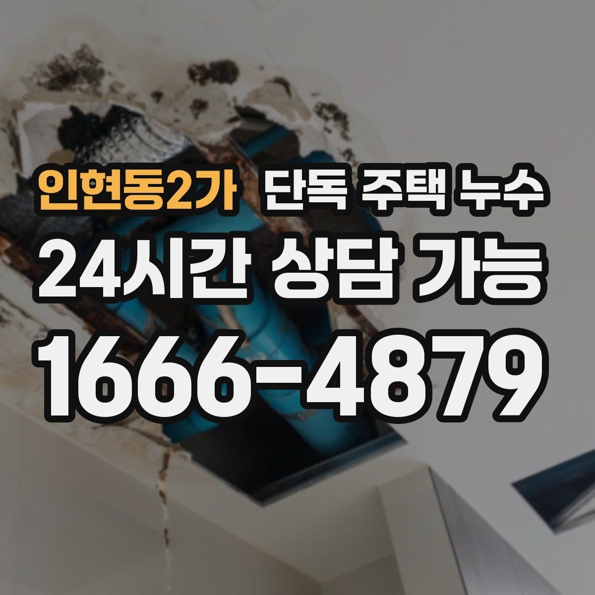 인현동2가 단독 주택 누수 벽 안쪽 물소리 들릴 때 의심할 것