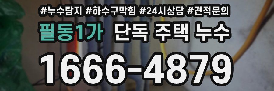 필동1가 단독 주택 누수