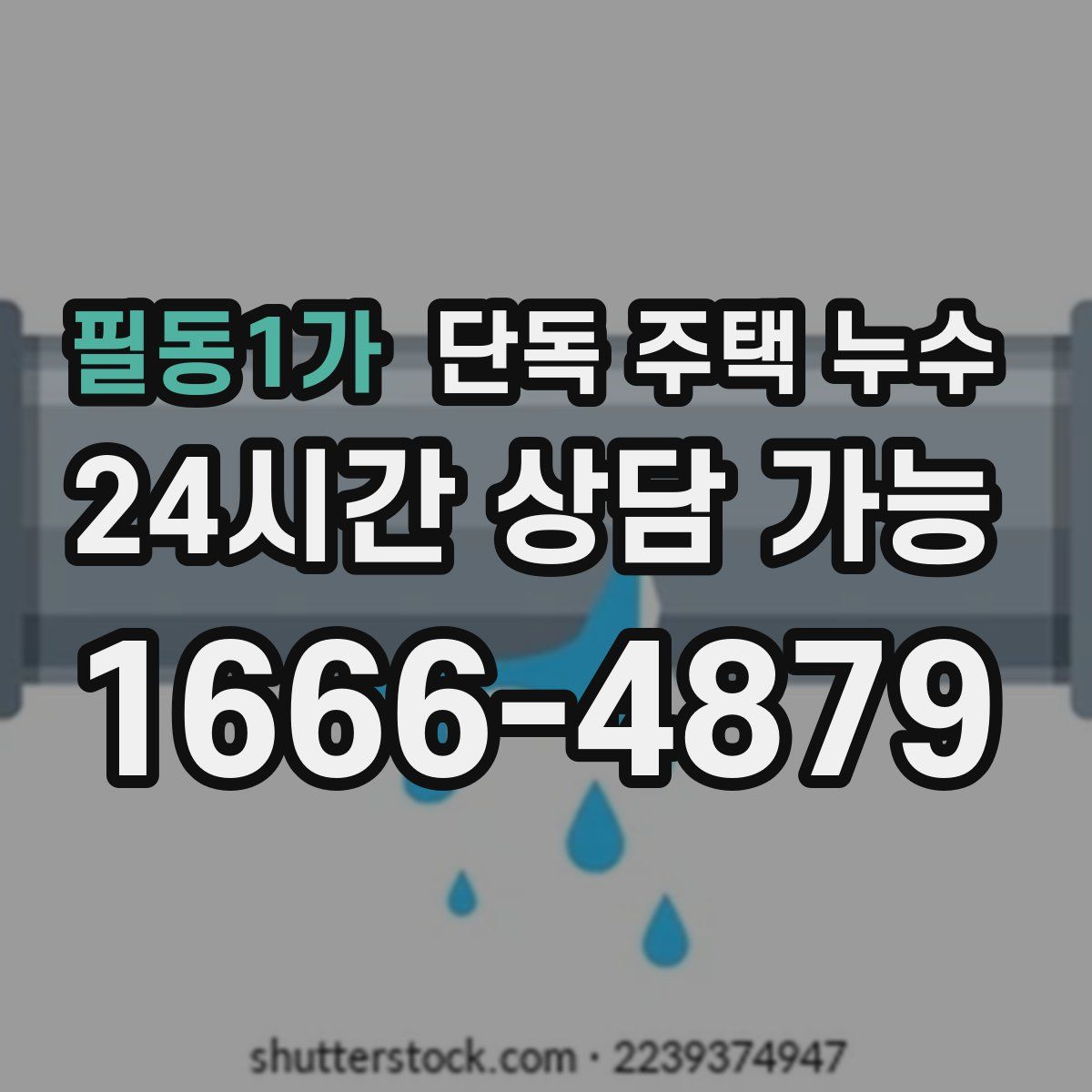 필동1가 단독 주택 누수