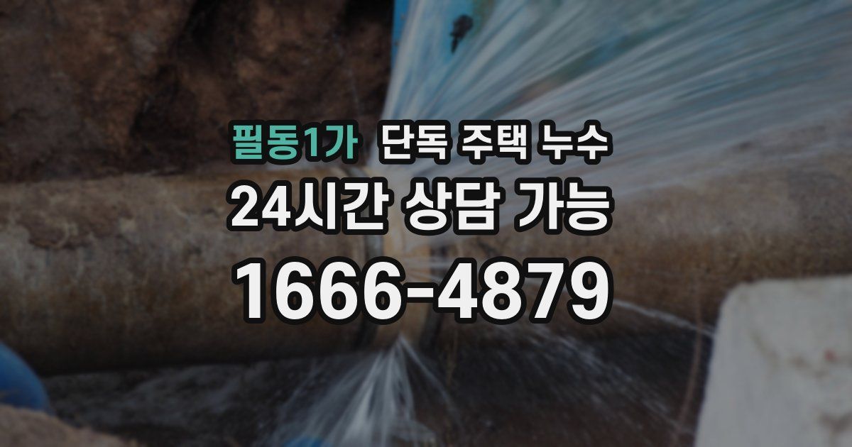필동1가 단독 주택 누수