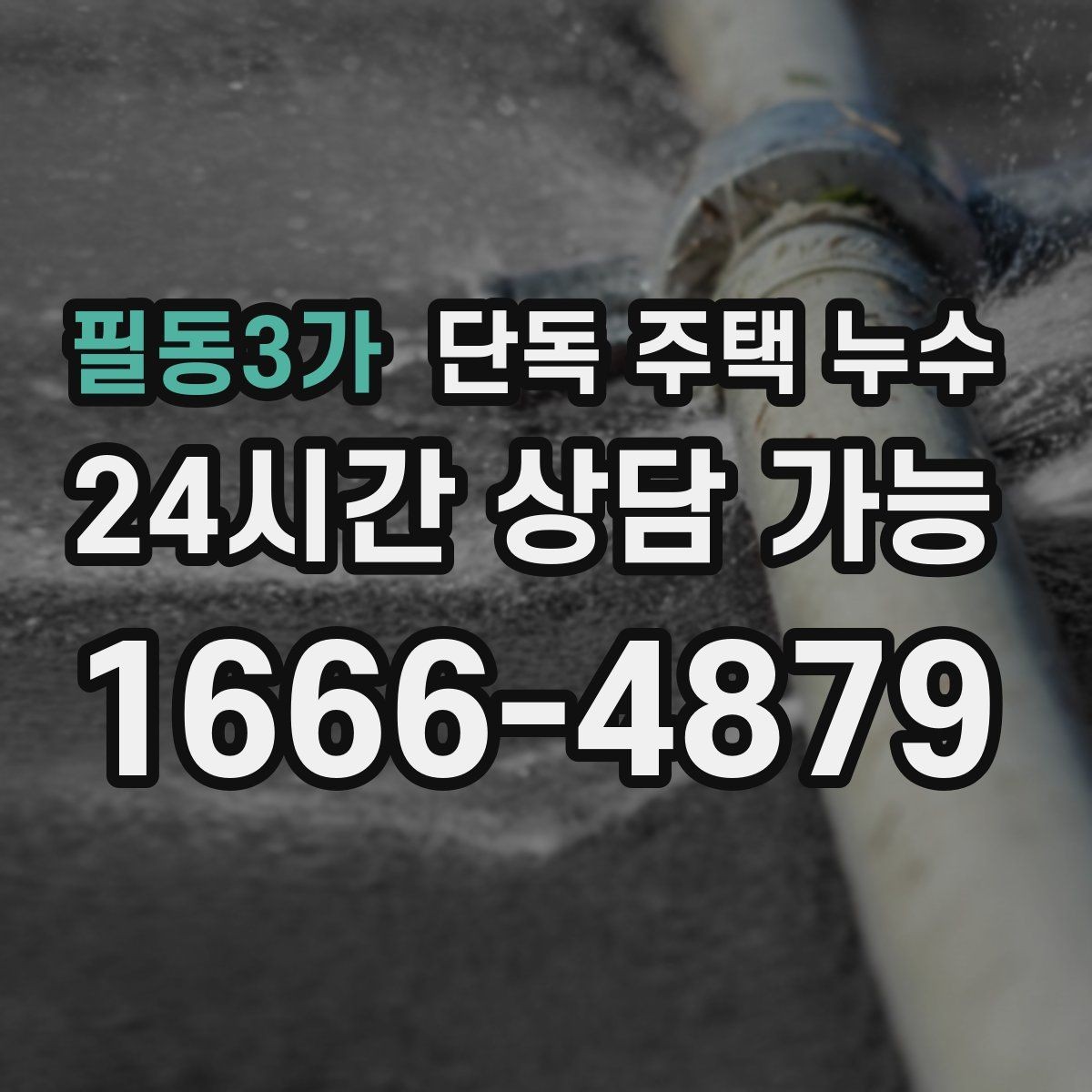 필동3가 단독 주택 누수 전등 주변 물방울 떨어질 때 대처