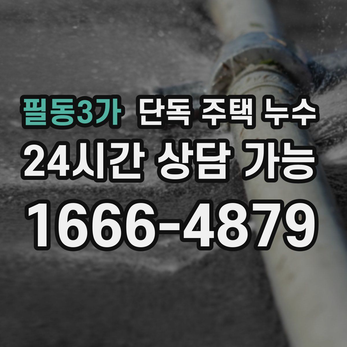 필동3가 단독 주택 누수