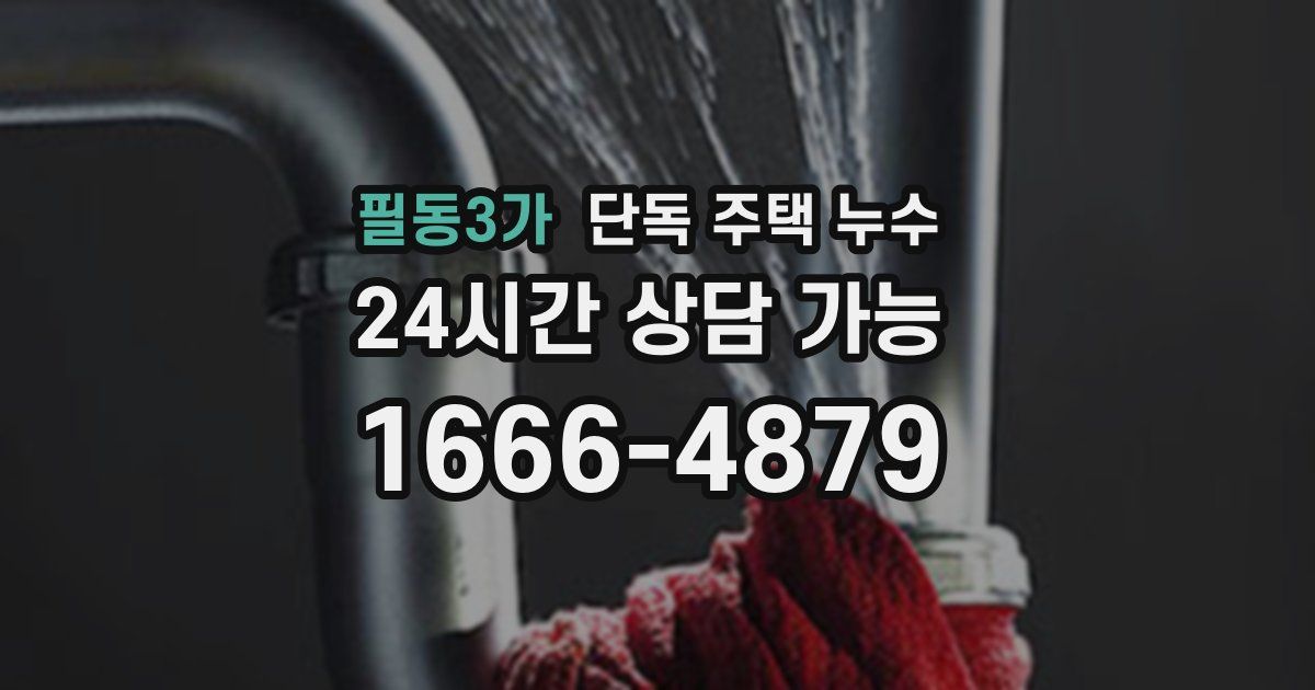 필동3가 단독 주택 누수