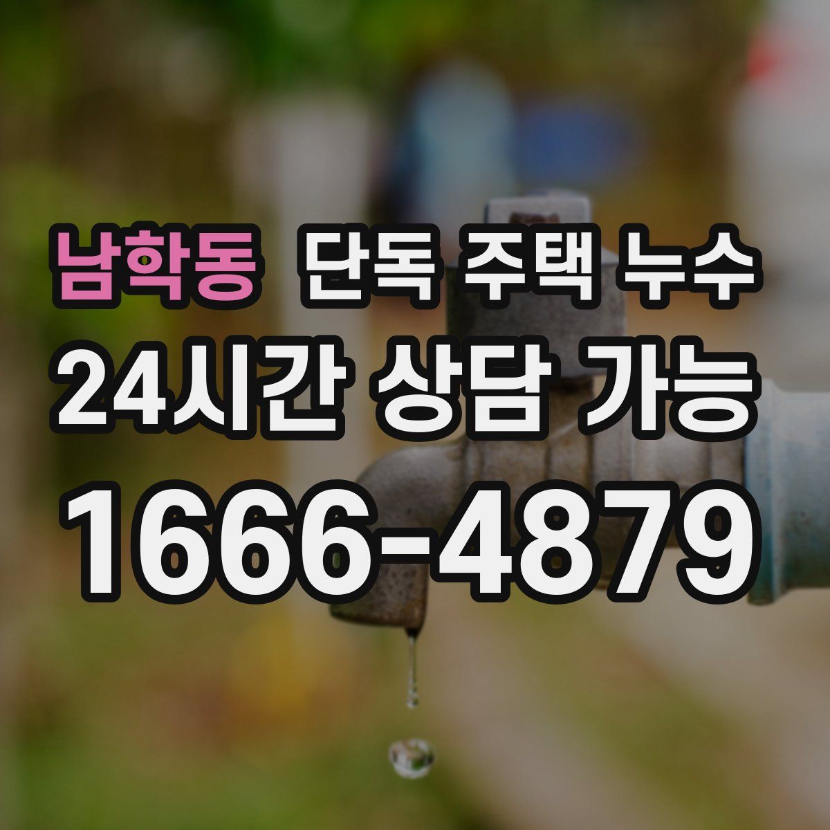 남학동 단독 주택 누수