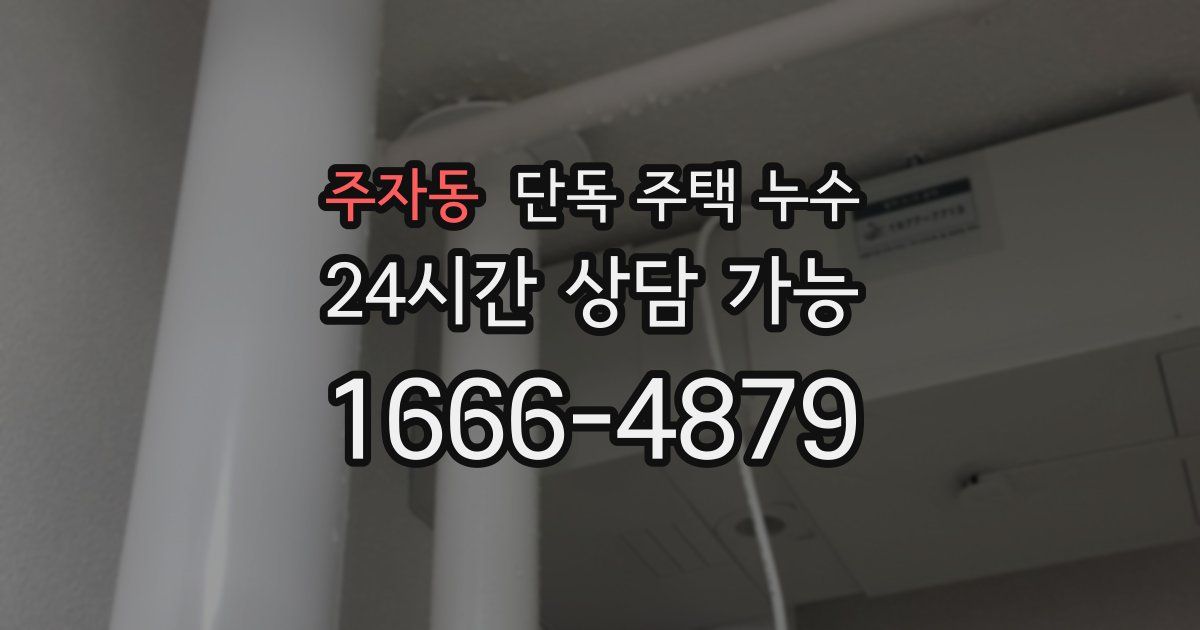 주자동 단독 주택 누수