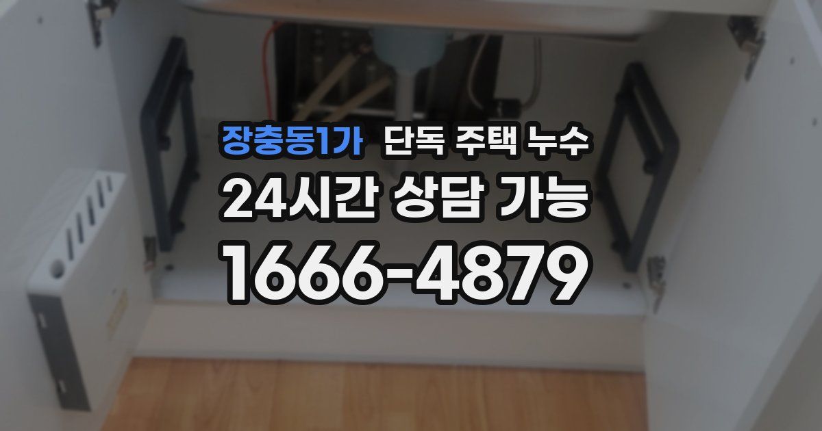 장충동1가 단독 주택 누수