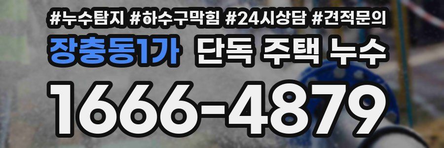 장충동1가 단독 주택 누수