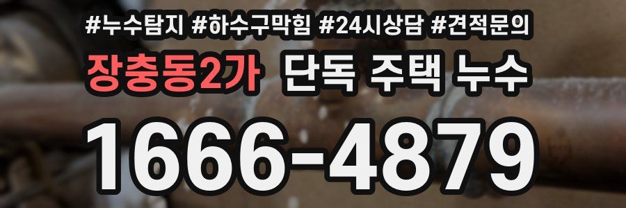 장충동2가 단독 주택 누수
