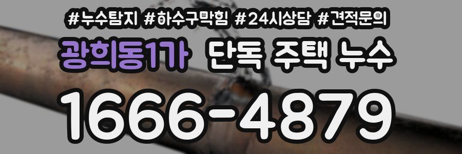 광희동1가 단독 주택 누수