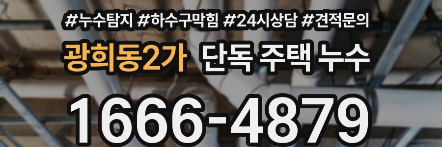 광희동2가 단독 주택 누수