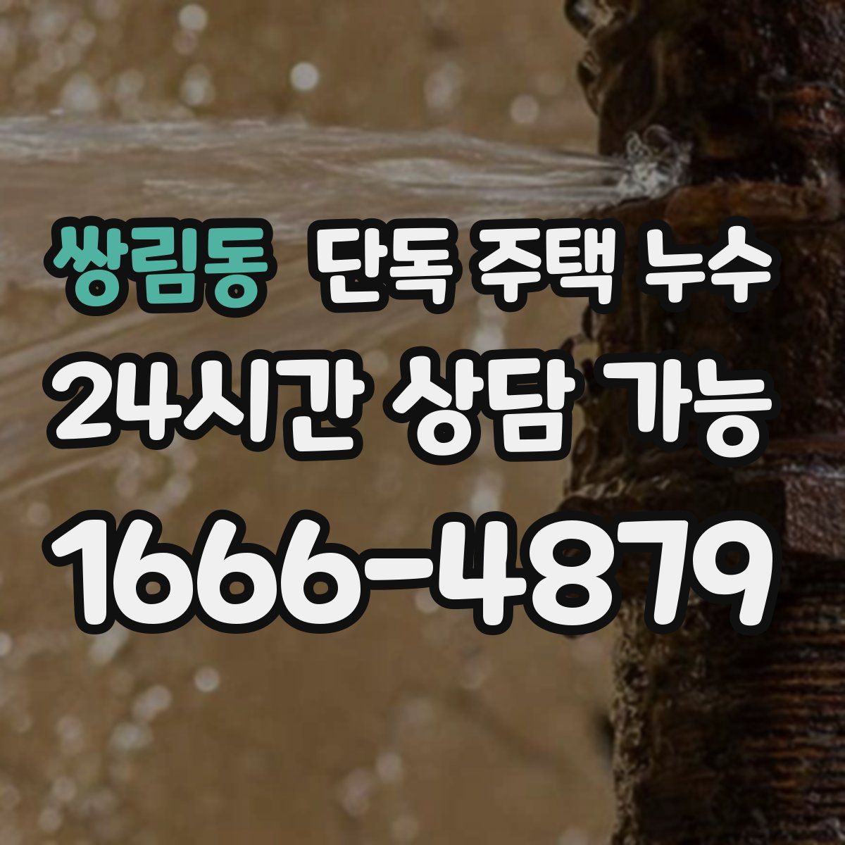 쌍림동 단독 주택 누수