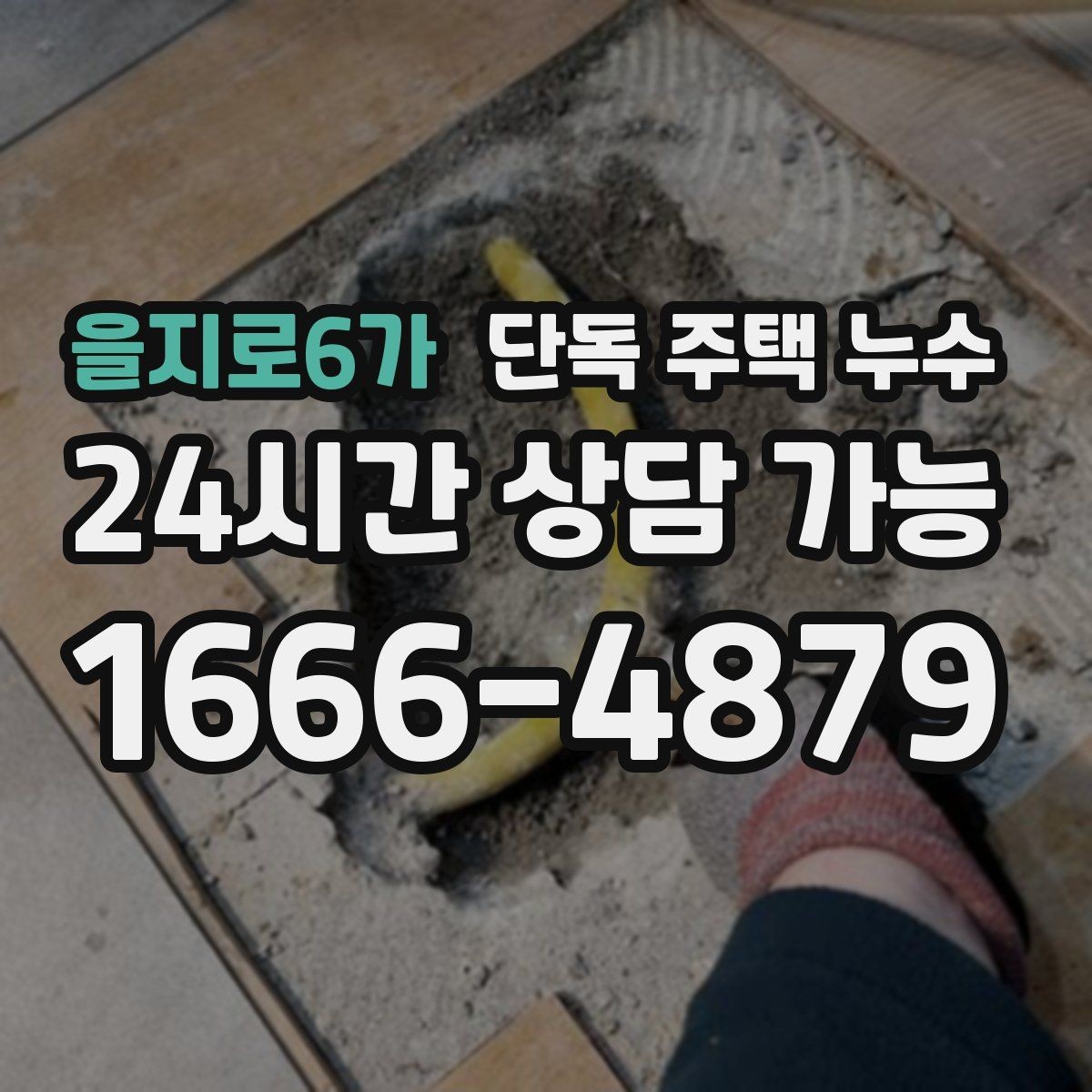 을지로6가 단독 주택 누수 욕실 타일 줄눈 문제로 생기는 증상