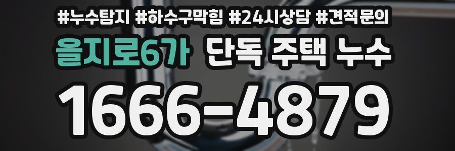 을지로6가 단독 주택 누수