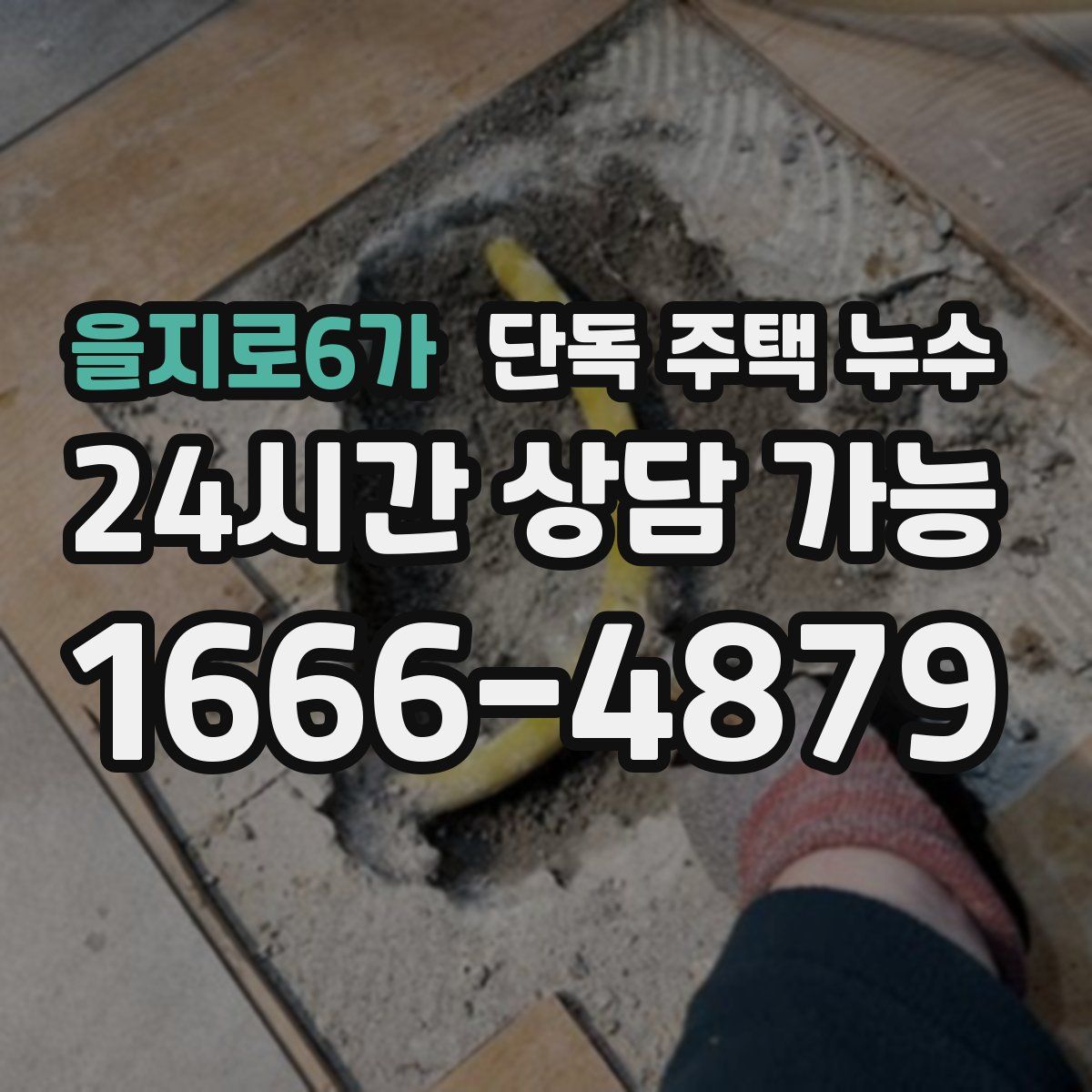 을지로6가 단독 주택 누수