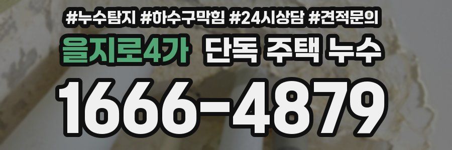 을지로4가 단독 주택 누수