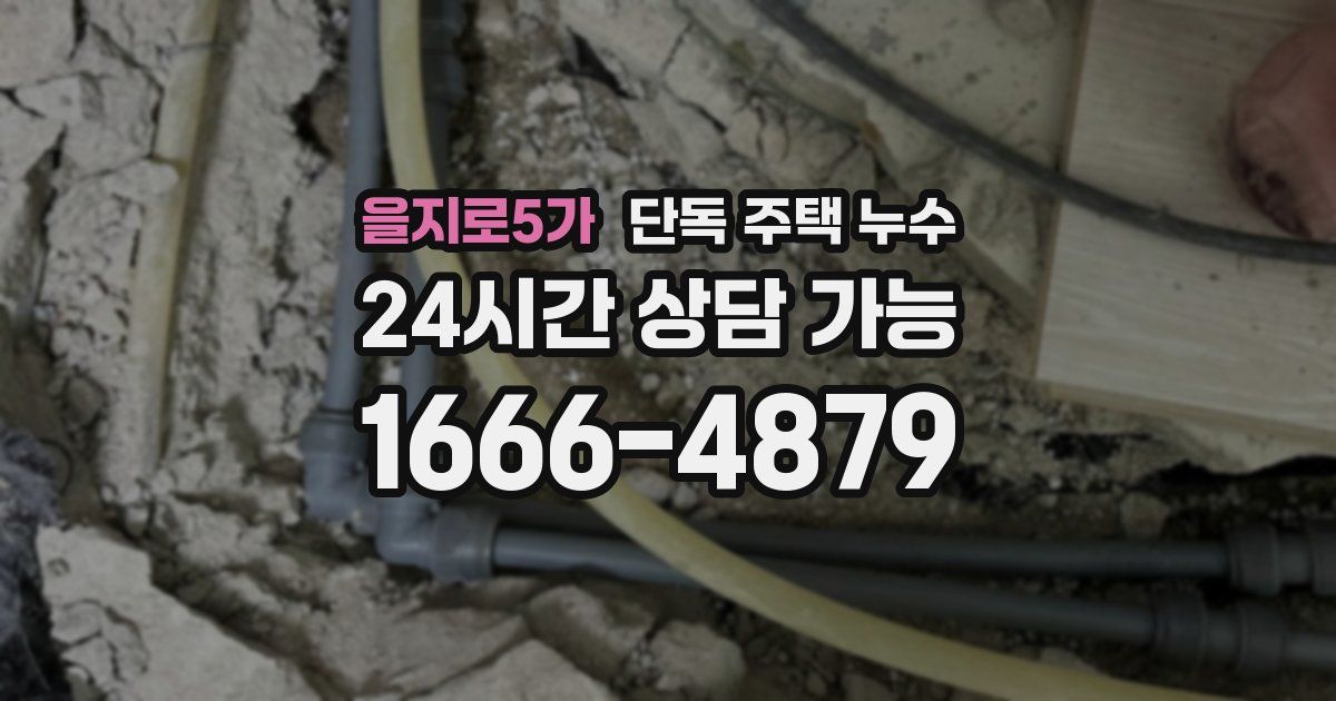 을지로5가 단독 주택 누수