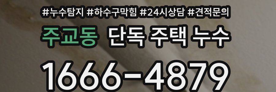 주교동 단독 주택 누수