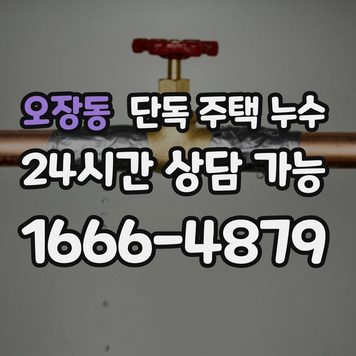 오장동 단독 주택 누수 홈통 막힘이 실내 누수로 이어지는 과정