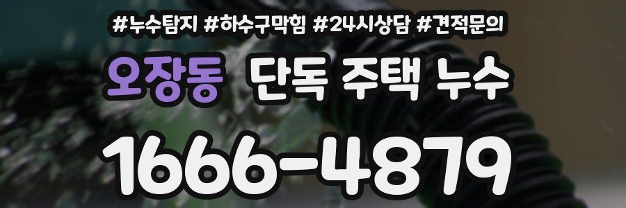 오장동 단독 주택 누수