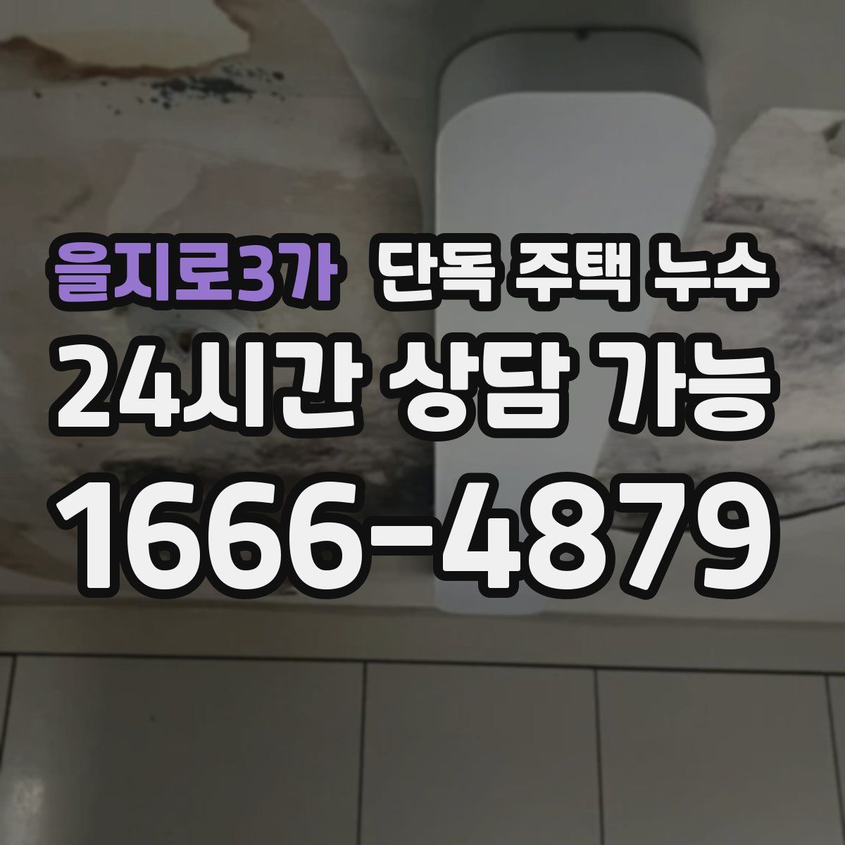 을지로3가 단독 주택 누수