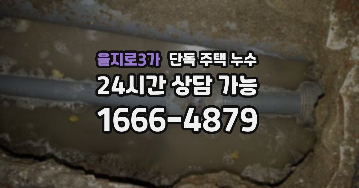 을지로3가 단독 주택 누수