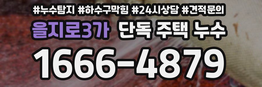 을지로3가 단독 주택 누수