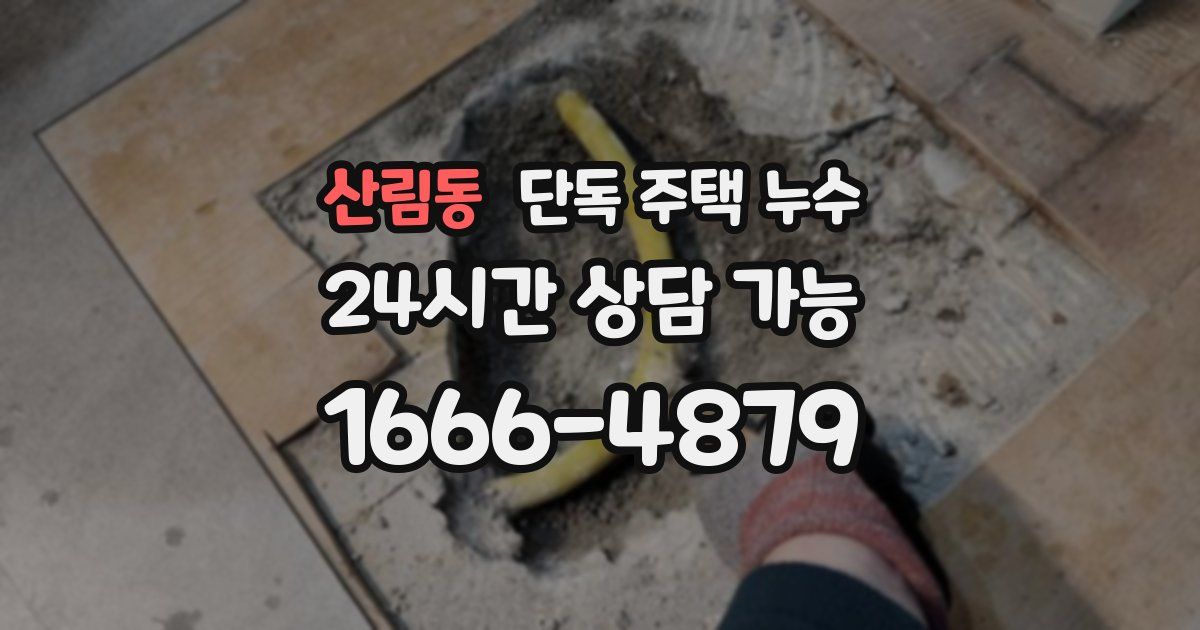 산림동 단독 주택 누수