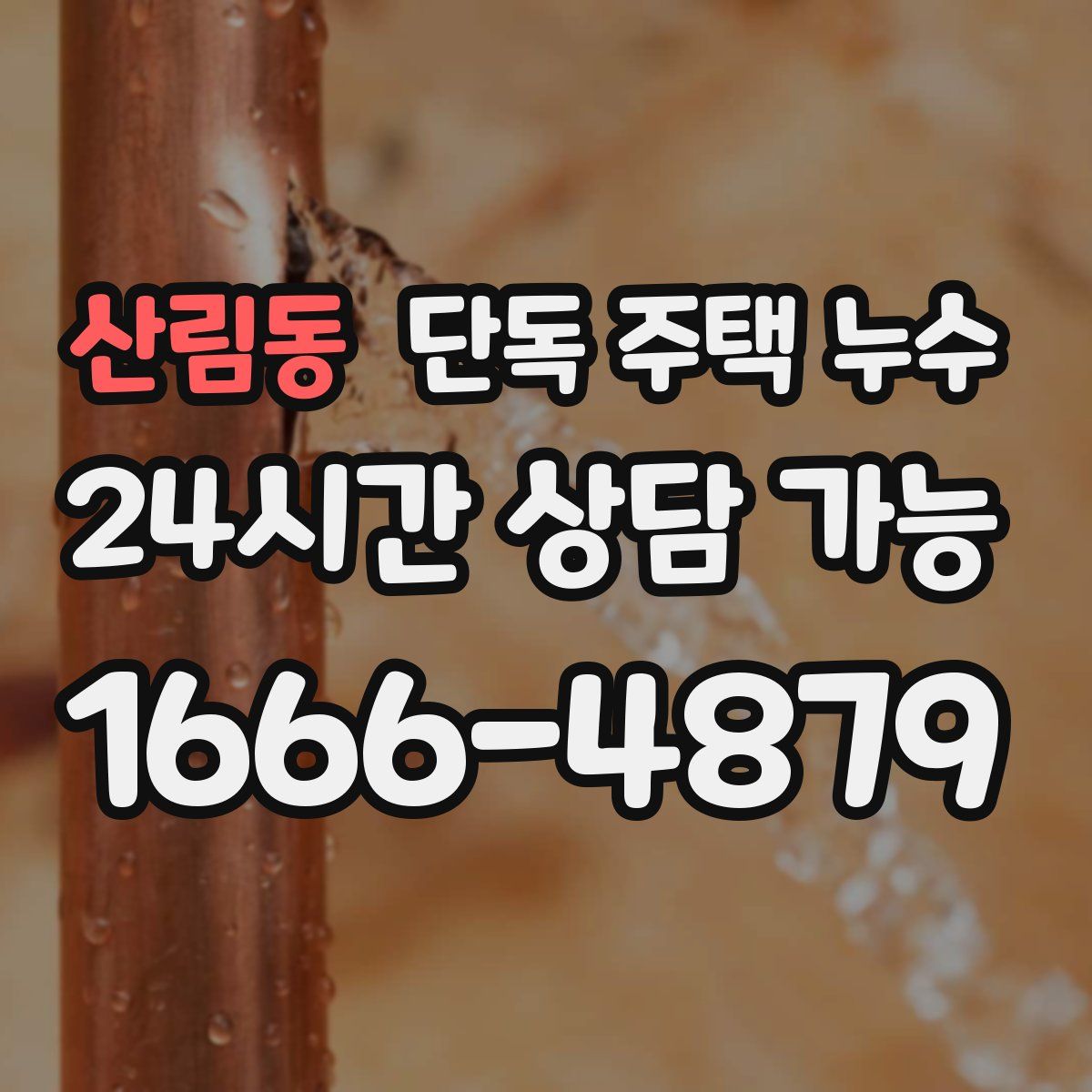 산림동 단독 주택 누수