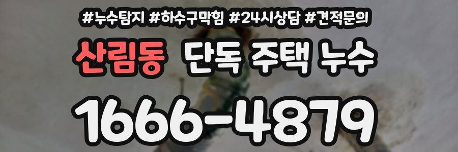 산림동 단독 주택 누수