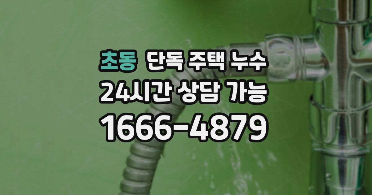 초동 단독 주택 누수