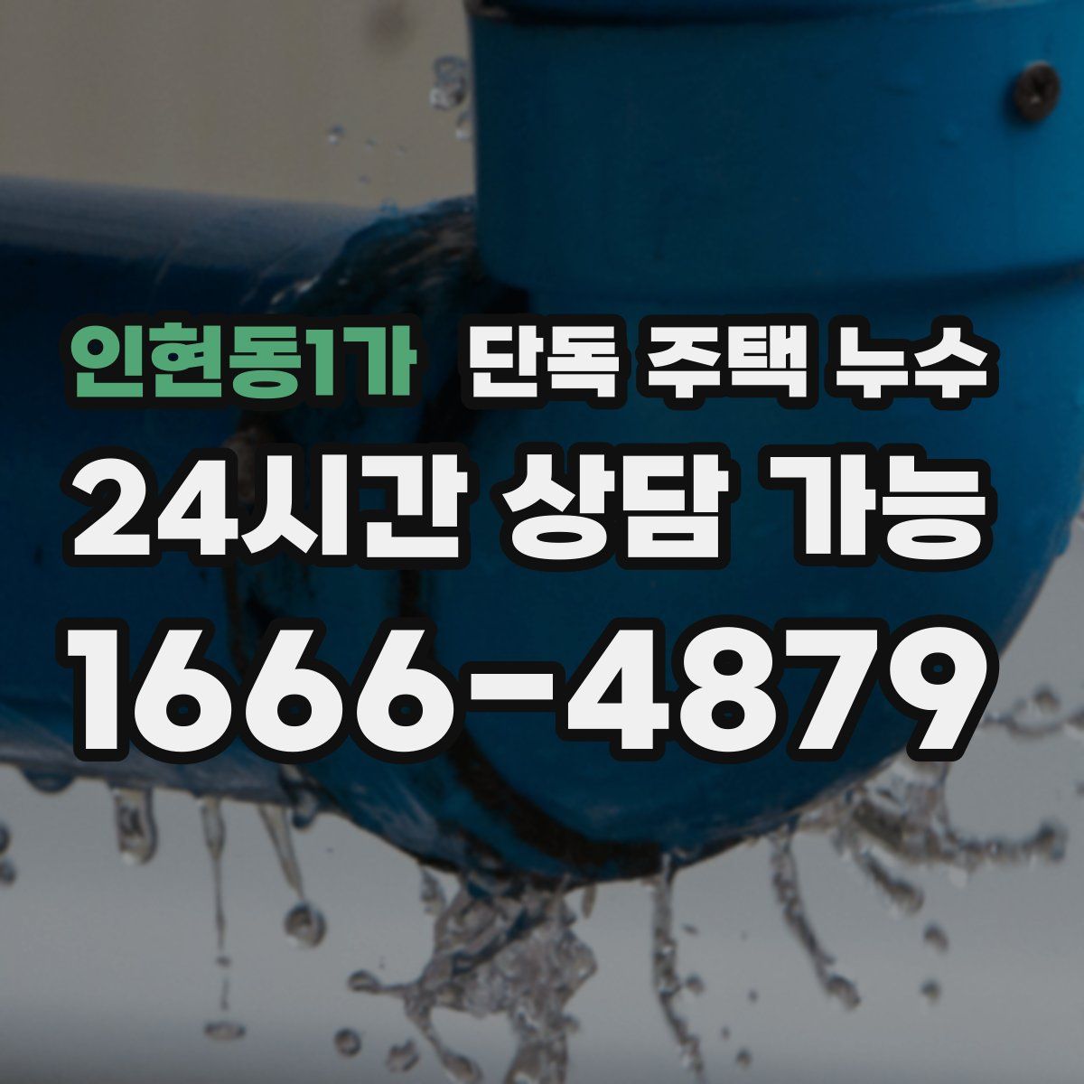 인현동1가 단독 주택 누수