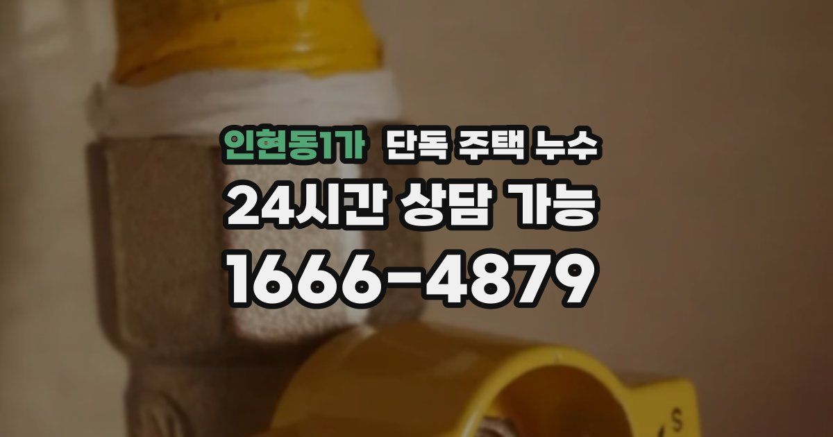 인현동1가 단독 주택 누수