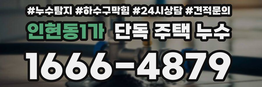 인현동1가 단독 주택 누수