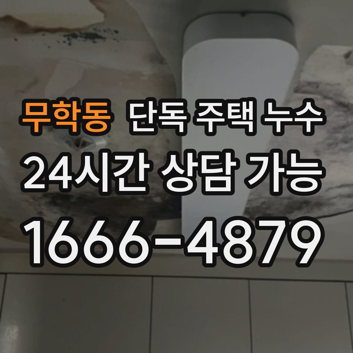 무학동 단독 주택 누수 실내 모서리 곰팡이가 띠처럼 생길 때