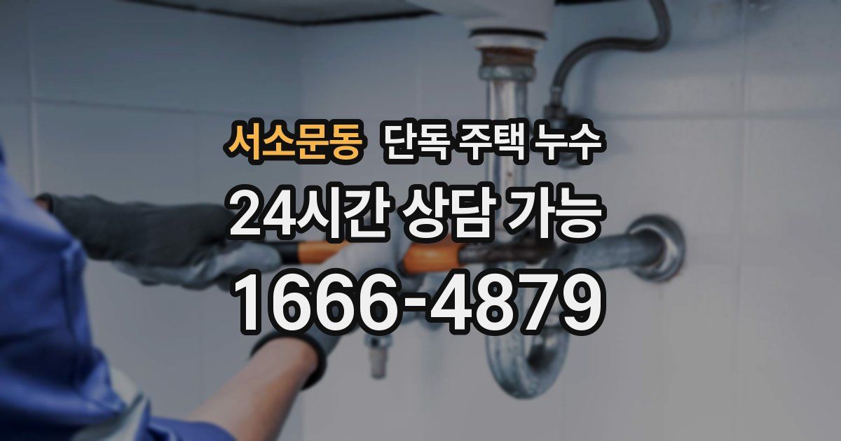 서소문동 단독 주택 누수