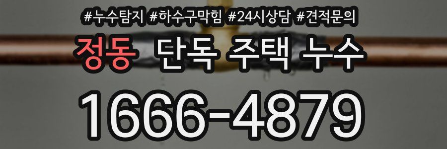 정동 단독 주택 누수