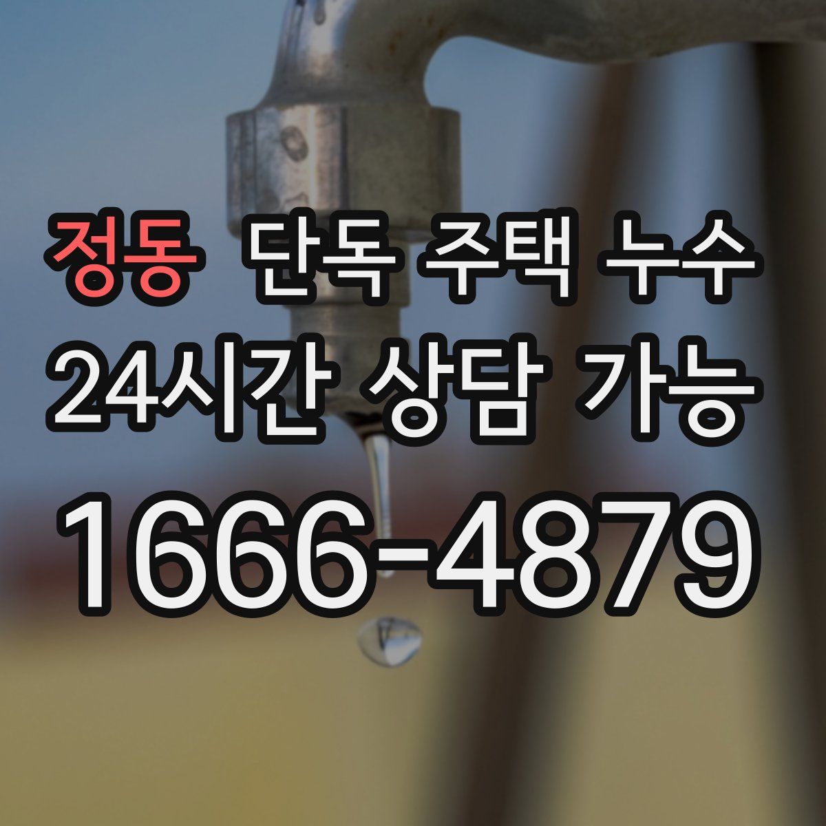 정동 단독 주택 누수