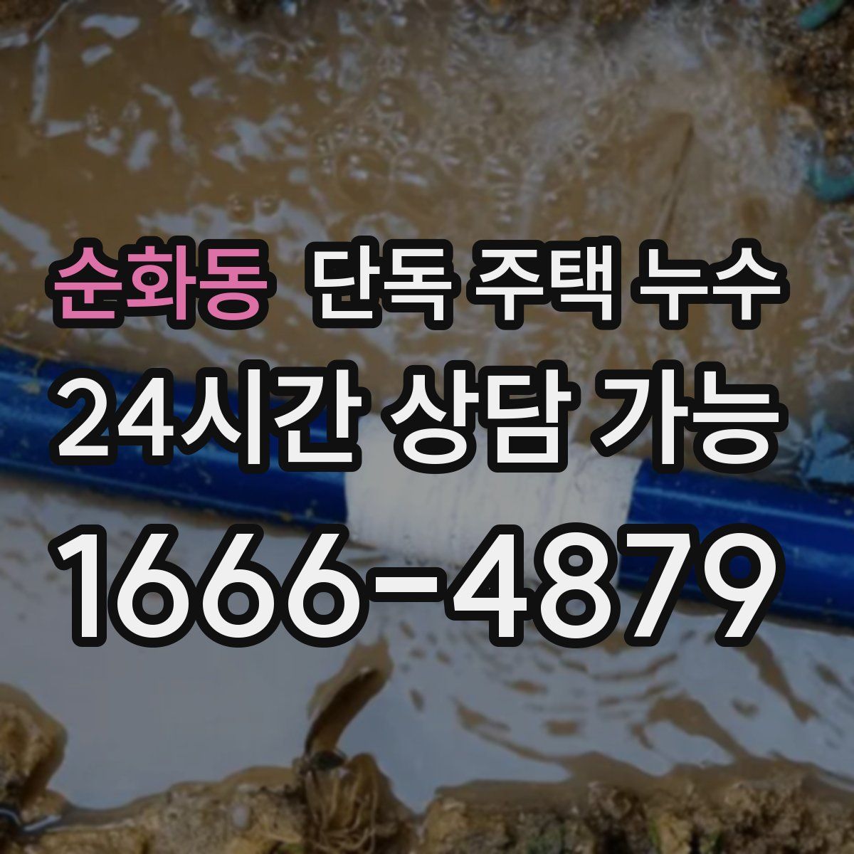 순화동 단독 주택 누수