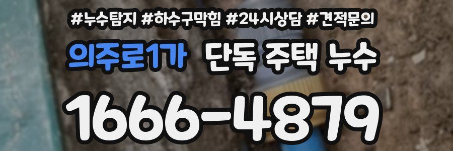 의주로1가 단독 주택 누수